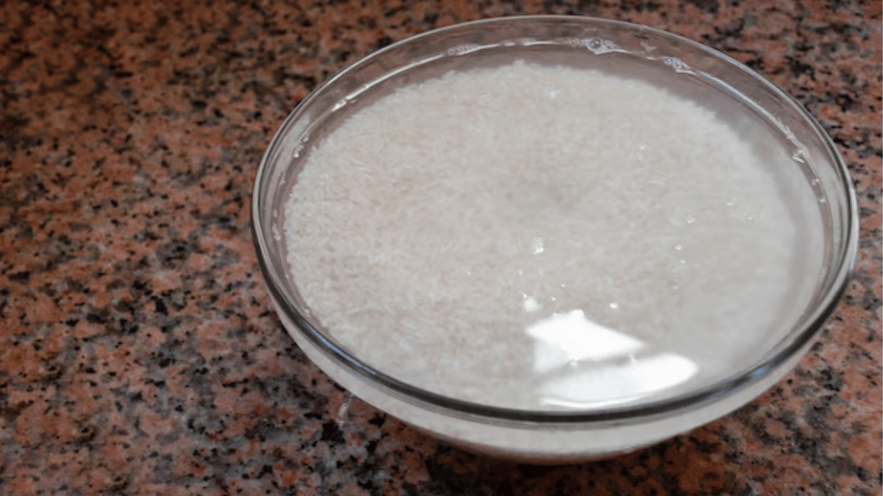 Rice Water Benefits: മുഖം തിളങ്ങാൻ മാത്രമല്ല! കഞ്ഞിവെള്ളം കൊണ്ട് വേറെയുമുണ്ട് ​ഗുണങ്ങൾ