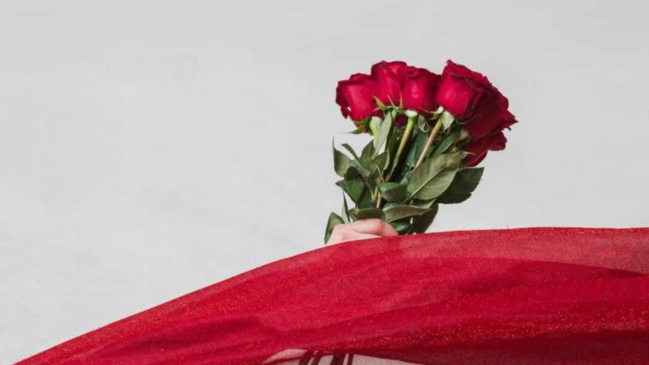 Rose Day 2025: ഏഴ് സുന്ദര പ്രണയ ദിനങ്ങള്‍; പൂക്കാലത്തിനായി പൂ കൊടുത്ത് ആരംഭിക്കാം