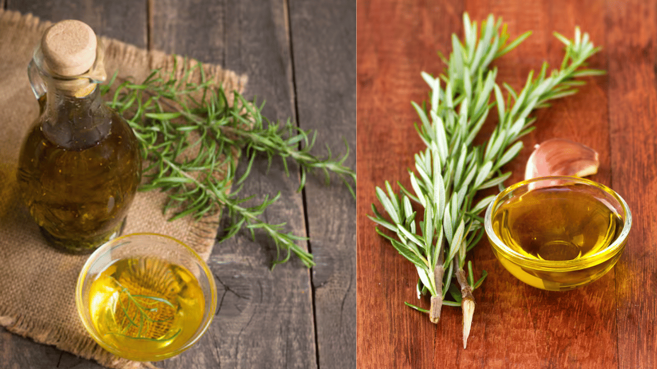 Rosemary Oil: കഷണ്ടിയുള്ളവർക്കും മുടി വളരും; റോസ്മേരി ഓയിൽ ഇങ്ങനെ ഉപയോഗിക്കൂ