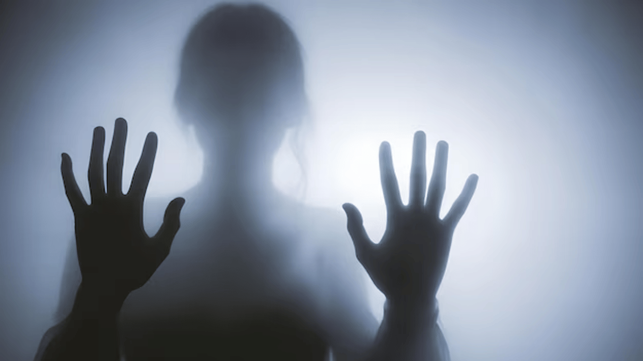 Trans Woman Brutally Beaten: കൊച്ചിയിൽ ട്രാൻസ് വുമണിന് ക്രൂരമർദനം; മർദിച്ചത് ഇരുമ്പ് വടി കൊണ്ട്, സംഭവം മെട്രോ സ്റ്റേഷന് സമീപം