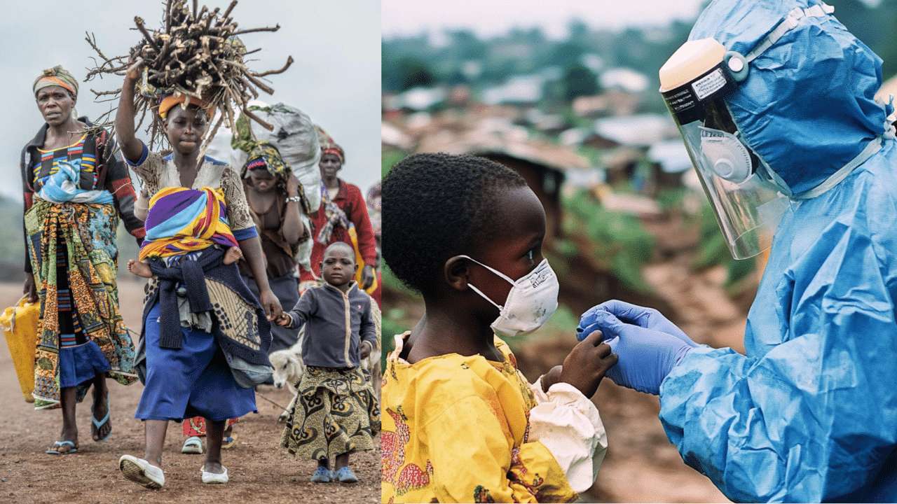 Congo Unknown Illness: വില്ലനാകുന്നത് വവ്വാലോ?; അജ്ഞാത രോഗം, കോംഗോയിൽ 48 മണിക്കൂറിനുള്ളിൽ മരിച്ചത് 50 പേർ