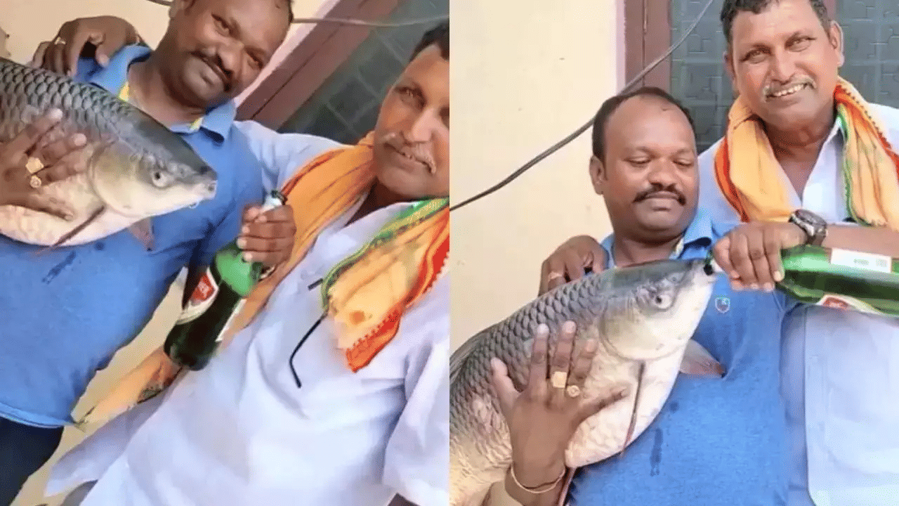Viral News: എന്തൊക്കെയാടാ ഇവിടെ നടക്കുന്നത്..! മത്സ്യത്തെ നിർബന്ധിപ്പിച്ച് ബിയർ കുടിപ്പിക്കുന്നു; വീഡിയോ വൈറൽ
