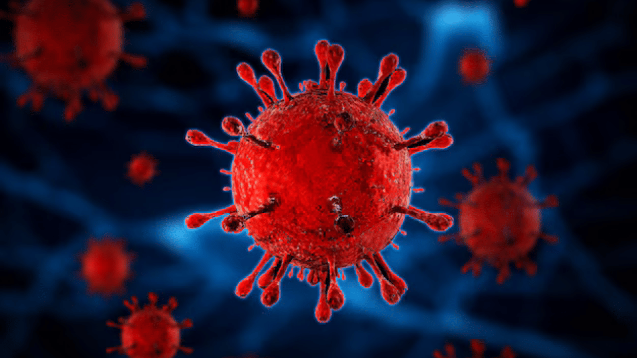 US Flu: പകർച്ചവ്യാധി ഭീതിയിൽ യുഎസ്; രോഗം ബാധിച്ചത് 24 ദശലക്ഷം പേർക്ക്, മരണം 13,000