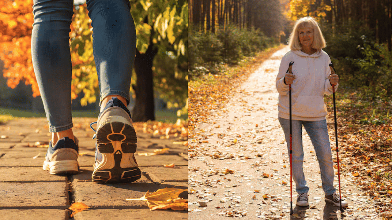 Walking Tips: 60 വയസ്സിനു ശേഷം സ്ത്രീകൾ എത്ര ദുരം നടക്കണം? പഠനം പറയുന്നത് ഇങ്ങനെ Walking Tips: 60 വയസ്സിനു ശേഷം സ്ത്രീകൾ എത്ര ദുരം നടക്കണം? പഠനം പറയുന്നത് ഇങ്ങനെ