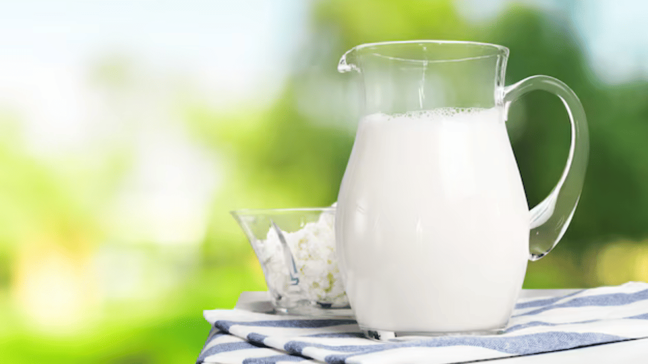 Cold Milk: തണുത്ത പാൽ അസിഡിറ്റി കുറയ്ക്കാൻ സഹായിക്കുമോ? വിദഗ്ധർ പറയുന്നതിങ്ങനെ Cold Milk: തണുത്ത പാൽ അസിഡിറ്റി കുറയ്ക്കാൻ സഹായിക്കുമോ? വിദഗ്ധർ പറയുന്നതിങ്ങനെ