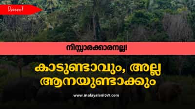 Elephants: വന്യജീവികളിലെ മികച്ച എക്കോസിസ്റ്റം എൻജിനിയർ; ആന നമ്മൾ ഉദേശിച്ച ആളല്ല!
