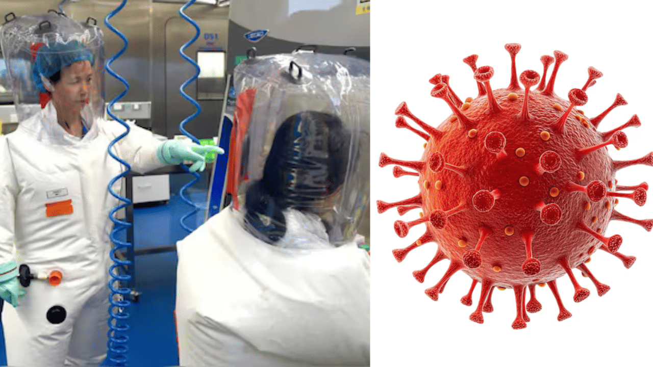 China New Coronavirus: ചൈനയിൽ പുതിയ കൊറോണ വൈറസ്; കോവിഡുപോലെ മനുഷ്യരെ ബാധിക്കുമെന്ന് കണ്ടെത്തൽ