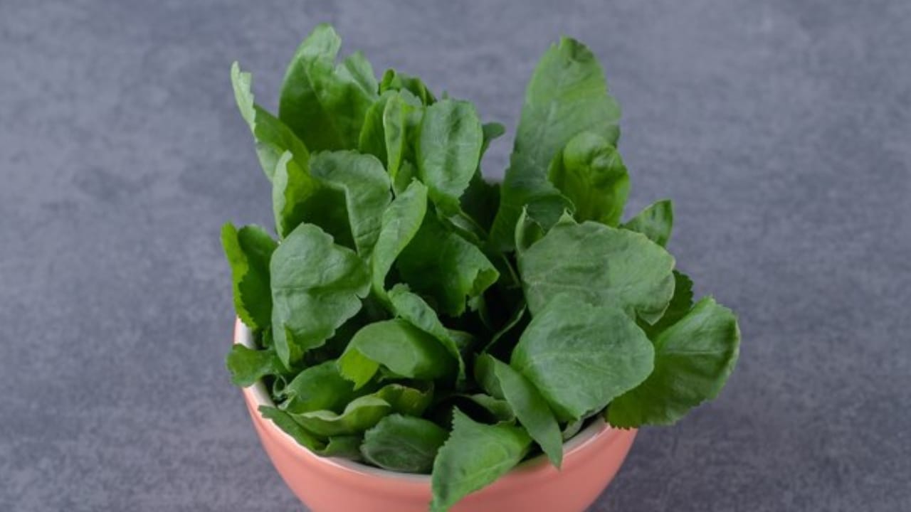 വൈറ്റമിനുകളും ആൻ്റി  ഓക്‌സിഡൻ്റുകളും ധാരാളമായി അടങ്ങിയിട്ടുള്ള കാബേജിൻ്റെ ഗണത്തിലുള്ള ചെറു സസ്യമാണ് വാട്ടർ ക്രെസ്. ഓർമ വർധിപ്പിക്കാനും രോഗ-പ്രതിരോധത്തിനും ഇത് ബെസ്റ്റാണ്
