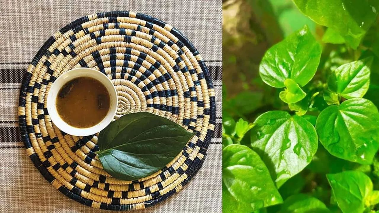 വെറ്റിലയിൽ ഫിനോളിക് ആസിഡുകൾ അടങ്ങിയിട്ടുണ്ട്. വെറ്റില കഴിക്കുന്നത് ഉത്കണ്ഠ, സമ്മർദ്ദം തുടങ്ങിയ മാനസിക പ്രശ്നങ്ങൾ ഒഴിവാക്കാൻ സഹായിക്കും. ഈ ഇലകളിൽ ആന്റിഹിസ്റ്റാമൈൻ, ആന്റി-ഇൻഫ്ലമേറ്ററി ഗുണങ്ങൾ ധാരാളം അടങ്ങിയിട്ടുണ്ട്. ആസ്ത്മയും സീസണൽ അലർജിയും ഉള്ളവർ വെറ്റില ചവച്ചരച്ച് കഴിക്കുന്നത് വഴി പ്രശ്നങ്ങളിൽ നിന്ന് ആശ്വാസം ലഭിക്കും