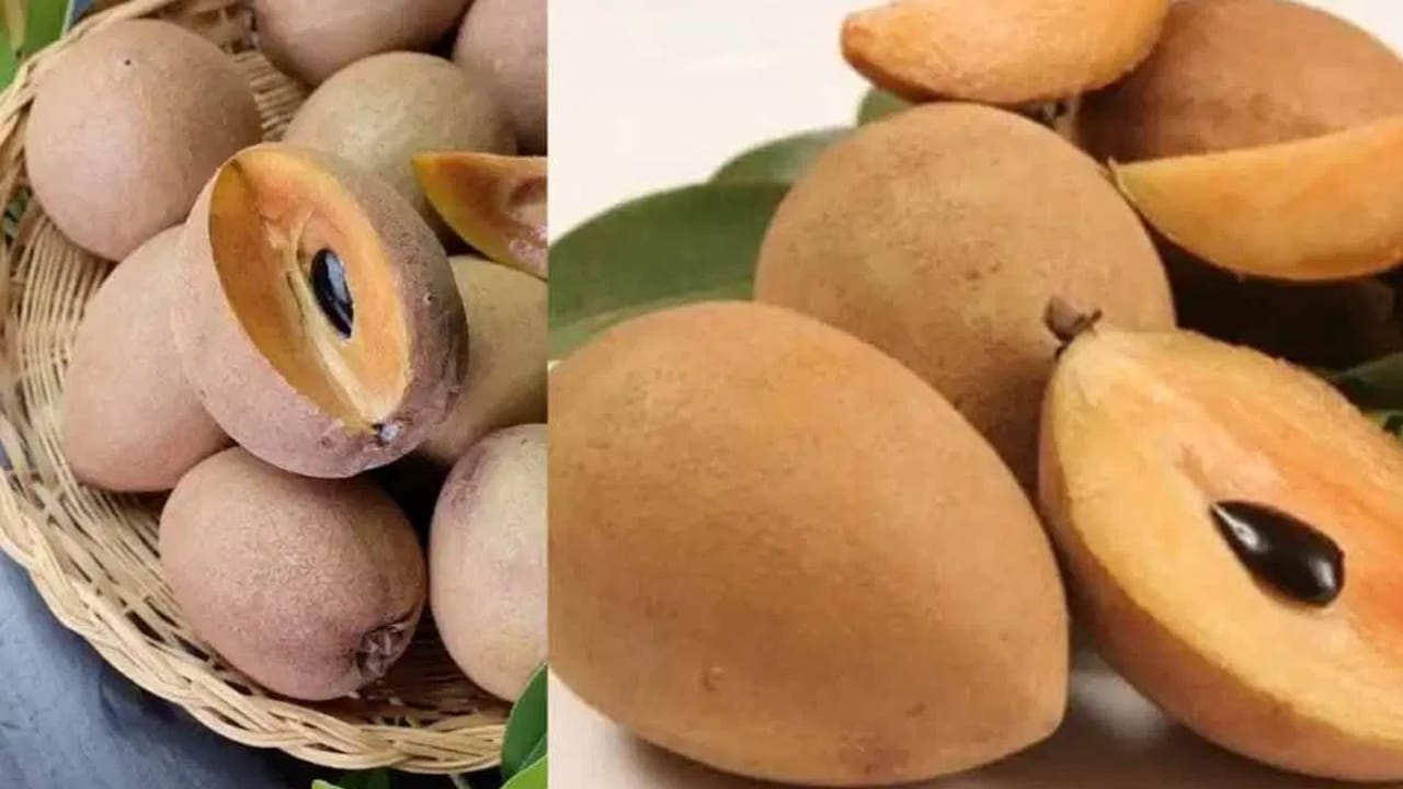 സപ്പോട്ട കഴിക്കുന്നത് ചർമ്മത്തിന്റെ ആരോഗ്യം മെച്ചപ്പെടുത്തും. മുടിയുടെ ആരോഗ്യത്തിനും ഗുണം ചെയ്യും. ഈ പഴത്തിൽ വിറ്റാമിൻ ഇ, എ, സി എന്നിവ അടങ്ങിയിട്ടുണ്ട്, ഇത് ചർമ്മത്തിന് സ്വാഭാവിക തിളക്കം നൽകുന്നു. കാഴ്ച പ്രശ്നങ്ങൾ അനുഭവിക്കുന്നവർക്ക് സപ്പോട്ട നല്ലതാണ്.