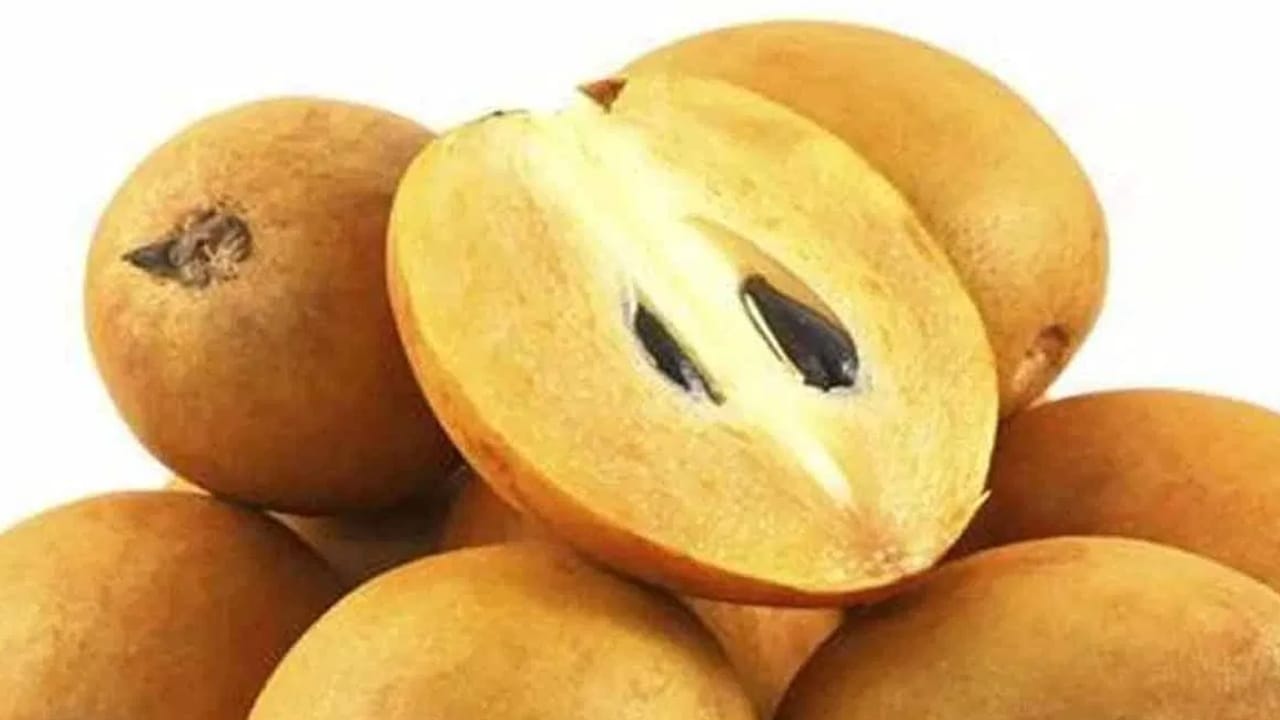 ഒരു ദിവസം രണ്ട് സപ്പോട്ട പഴങ്ങൾ കഴിക്കുന്നത് നിരവധി ആരോഗ്യ ഗുണങ്ങൾ നൽകുമെന്ന് പോഷകാഹാര വിദഗ്ധർ പറയുന്നു. ഇത് നമ്മുടെ ശരീരത്തിന് തൽക്ഷണം ഊർജ്ജം നൽകുന്നു. മാത്രമല്ല, ഇത് നമ്മുടെ രോഗപ്രതിരോധ സംവിധാനത്തെ ശക്തിപ്പെടുത്തും.
