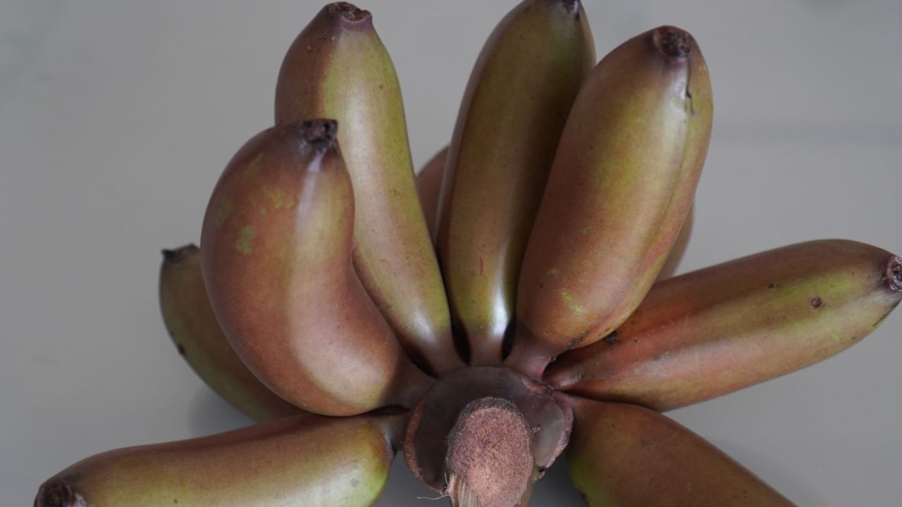 വാഴപ്പഴത്തിന്റെ 1,000-ത്തിലധികം ഇനങ്ങൾ വിപണിയിലുണ്ട്. അതിലൊന്നാണ് ചുവന്ന വാഴപ്പഴം അല്ലെങ്കിൽ ചുവന്ന പൂവൻ. ചുവന്ന പൂവൻ പോഷകങ്ങളാലും സമ്പന്നമാണെന്ന് ആരോഗ്യ വിദഗ്ധർ പറയുന്നു. ചുവന്ന വാഴപ്പഴം കഴിക്കുന്നത് വഴി ആരോഗ്യപരമായ നിരവധി ഗുണങ്ങളും ലഭിക്കും