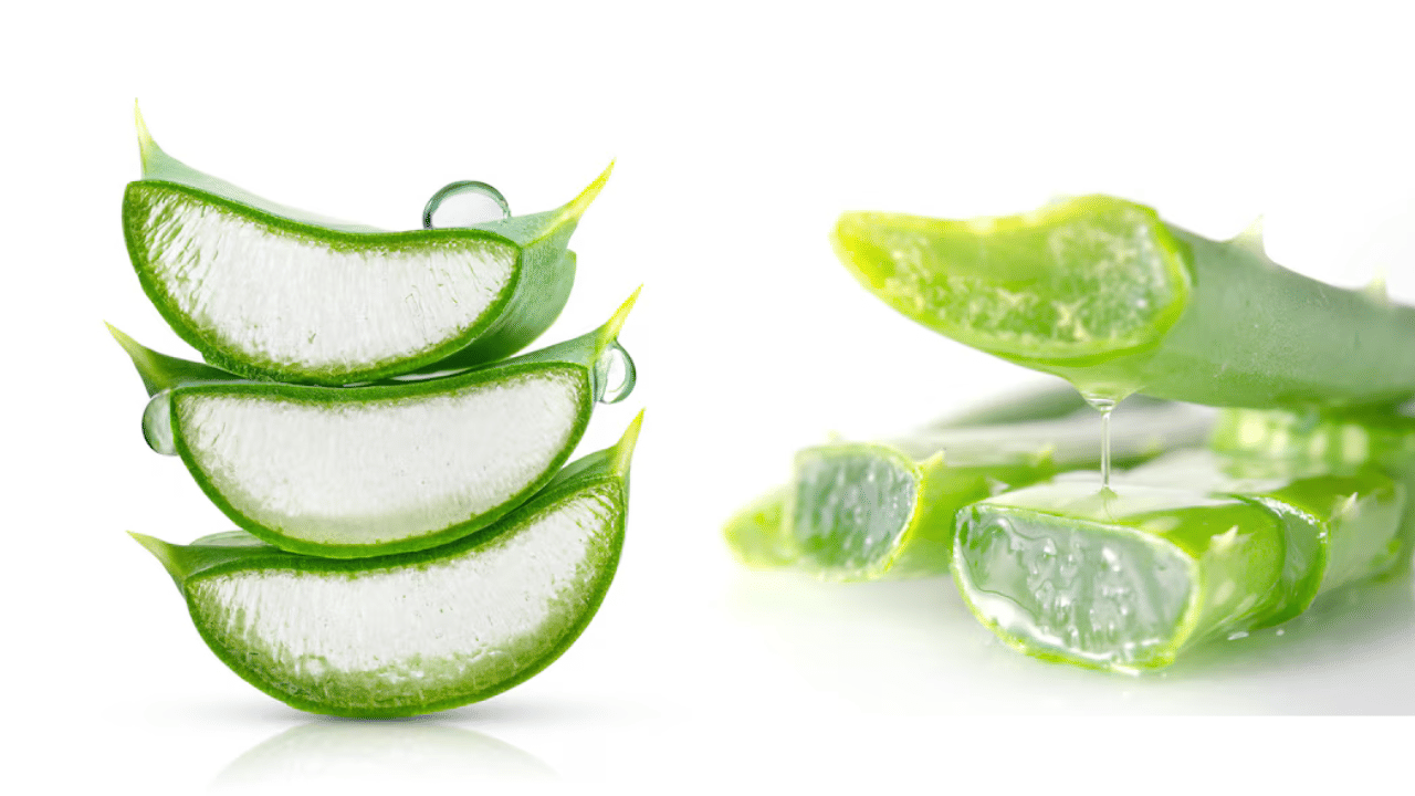 Aloe Vera Side Effects: കറ്റാർ വാഴ മുടിയിൽ പുരട്ടുന്നത് ശ്രദ്ധക്കണേ! ആരും പറയാത്ത അപകടങ്ങൾ
