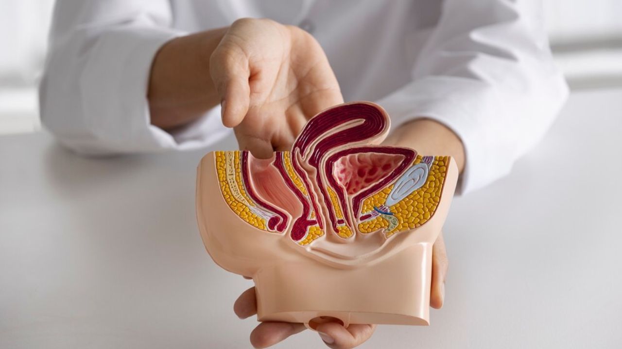 വന്‍കുടലില്‍ വളരുന്ന അര്‍ബദമാണ് കോളന്‍ ക്യാന്‍സര്‍ അഥവാ കുടല്‍ ക്യാന്‍സര്‍. വന്‍കുടലില്‍ മലദ്വാരത്തോട് ചേര്‍ന്ന ഭാഗത്താണ് ഈ അസുഖം പ്രധാനമായും വരുന്നത്. ചിലര്‍ക്ക് കുടലിന്റെ മറ്റുഭാഗങ്ങളിലും രോഗം പിടിപ്പെടാറുണ്ട്. കുടല്‍ ക്യാന്‍സര്‍ മറ്റ് ക്യാന്‍സറുകളെ അപേക്ഷിച്ച് തുടക്കത്തില്‍ പ്രകടമായ ലക്ഷണങ്ങളൊന്നും കാണിക്കാറില്ല. (Image Credits: Freepik)