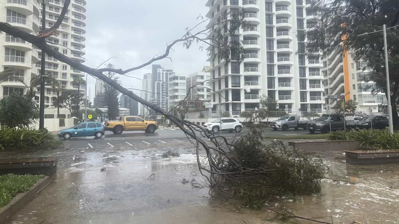 Cyclone Alfred: ആല്ഫ്രഡ് ചുഴലിക്കാറ്റ് തീവ്രത കുറഞ്ഞെങ്കിലും ഭീഷണി ഒഴിയുന്നില്ല; വെള്ളപൊക്ക സാധ്യത, വൈദ്യുതിയുമില്ല; ഓസ്ട്രേലിയ ജാഗ്രതയില് Cyclone Alfred: ആല്ഫ്രഡ് ചുഴലിക്കാറ്റ് തീവ്രത കുറഞ്ഞെങ്കിലും ഭീഷണി ഒഴിയുന്നില്ല; വെള്ളപൊക്ക സാധ്യത, വൈദ്യുതിയുമില്ല; ഓസ്ട്രേലിയ ജാഗ്രതയില്
