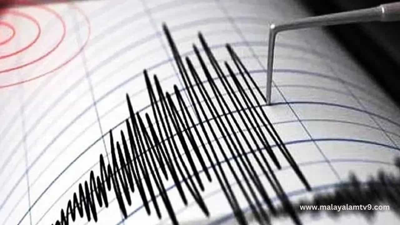 Earthquake: കാര്‍ഗിലില്‍ ഭൂചലനം, 5.2 തീവ്രത; ജമ്മുവില്‍ വിവിധ ഇടങ്ങളില്‍ പ്രകമ്പനം