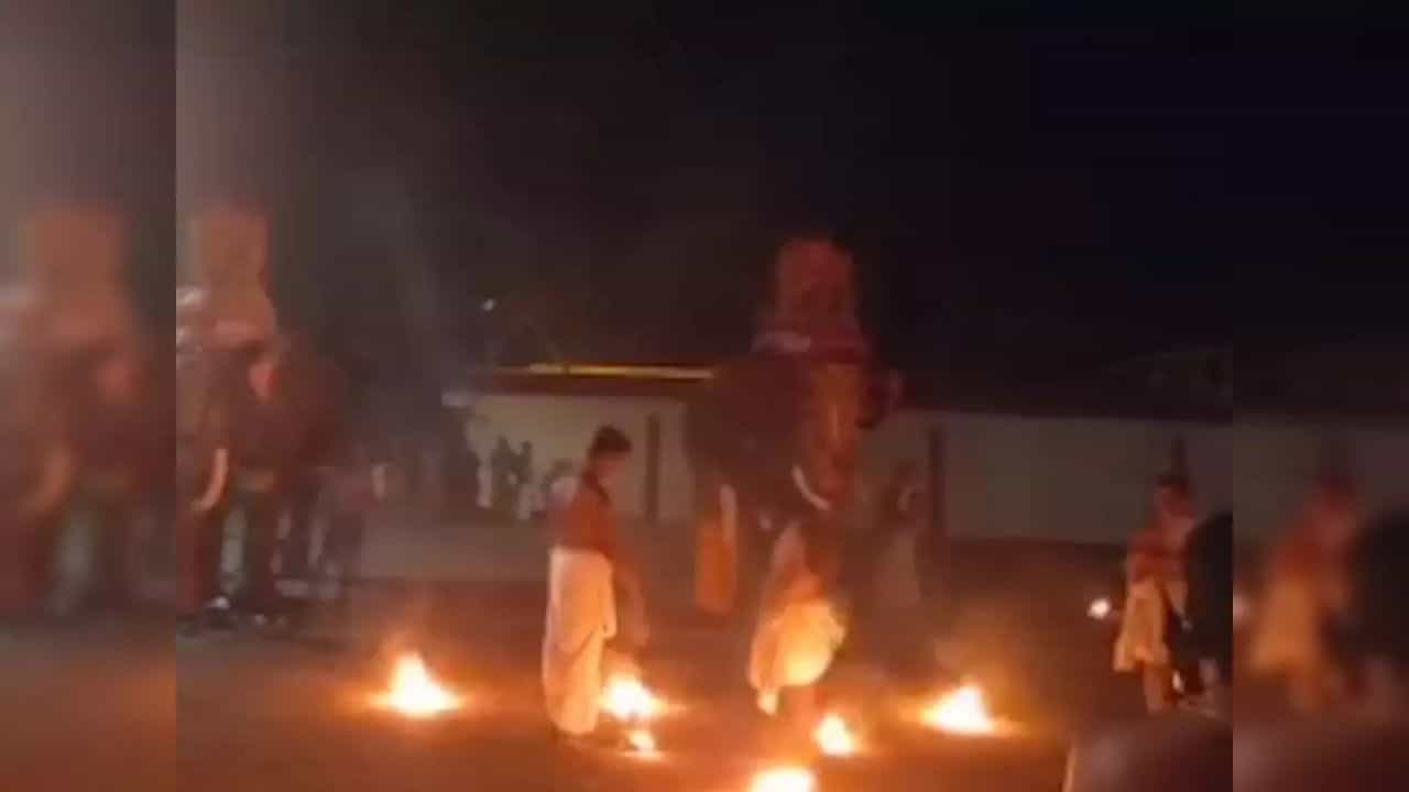 Thiruvalla Temple Elephant Attack: തിരുവല്ലയില്‍ ആനയിടഞ്ഞു; ഉത്സവത്തിനിടെ വിരണ്ടയാന മറ്റൊരാനയെ കുത്തി, പത്ത് പേര്‍ക്ക് പരിക്ക്