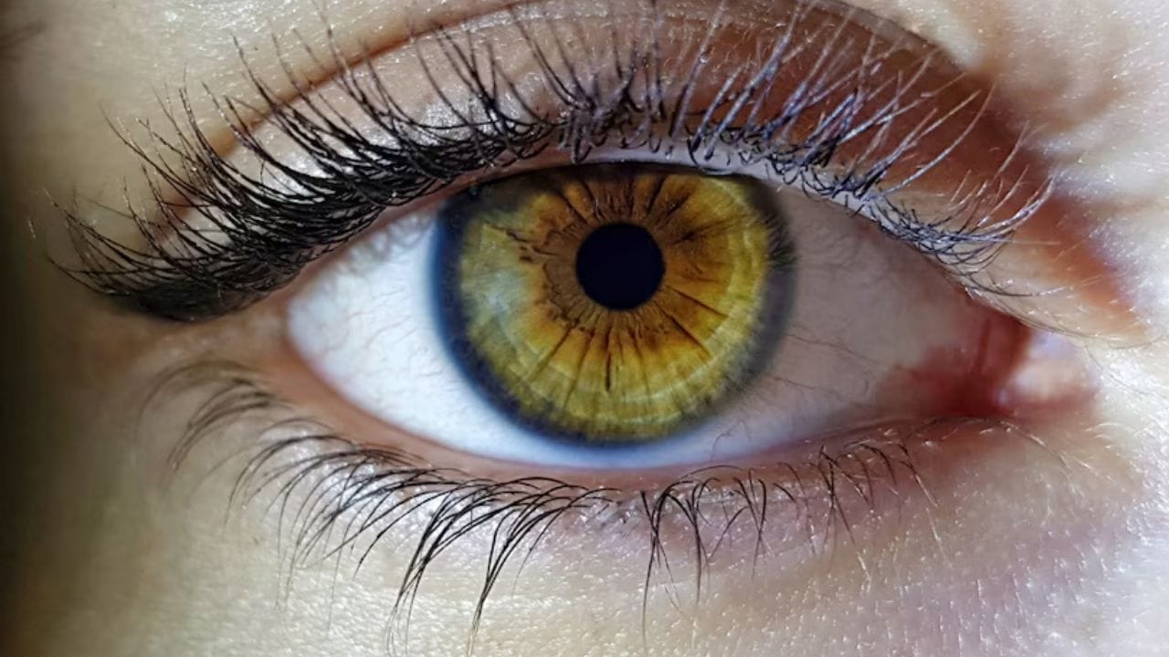 കണ്ണ് തുടിക്കുന്നതിന് നമ്മുടെ ഭാവിയും ഭൂതവുമായി ബന്ധമൊന്നുമില്ലെങ്കിലും ആരോഗ്യപരമായ കാരണങ്ങളുണ്ട്. നമ്മുടെ ശരീരത്തിലെ ചില പോഷകങ്ങളുടെ കുറവ് മൂലമാണ് പ്രധാനമായും കണ്ണ് തുടിക്കുന്നത്. (Image Credits: Freepik)