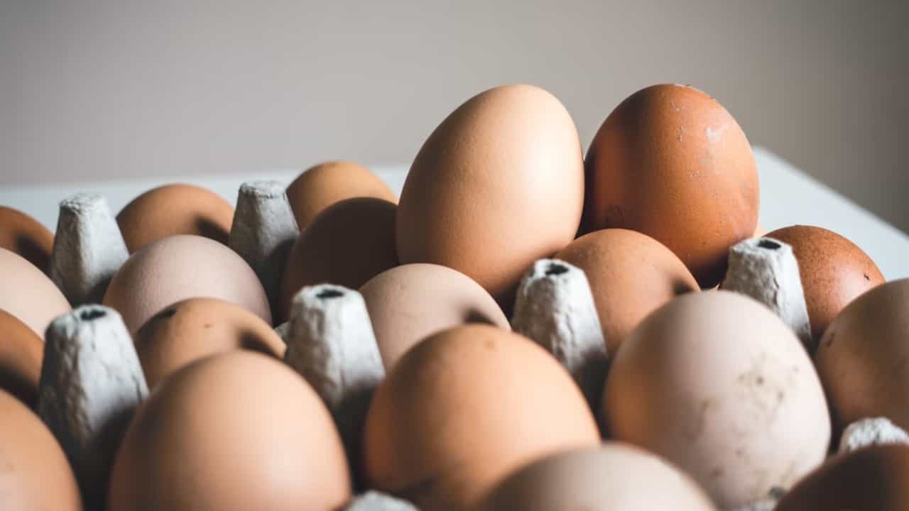 US Egg Crisis: മുട്ട തരുമോ എന്ന അമേരിക്കയുടെ അഭ്യർത്ഥന തള്ളി ഫിൻലൻഡ്; കർമഫലമെന്ന് സോഷ്യൽ മീഡിയ