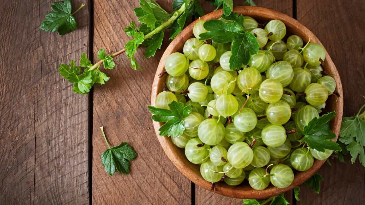 Gooseberry Tea: രാവിലെ ഈ ഒരു പാനീയം കുടിച്ചാൽ മതി; ചർമ്മം അടിപൊളിയാകും Gooseberry Tea: രാവിലെ ഈ ഒരു പാനീയം കുടിച്ചാൽ മതി; ചർമ്മം അടിപൊളിയാകും