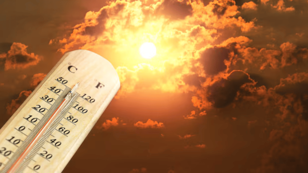 Kerala Heatwave Alert: ചൂട് അസഹനീയം; സംസ്ഥാനത്തെ 6 ജില്ലകളിൽ യെല്ലോ അലർട്ട്, പ്രത്യേക മുന്നറിയിപ്പ്