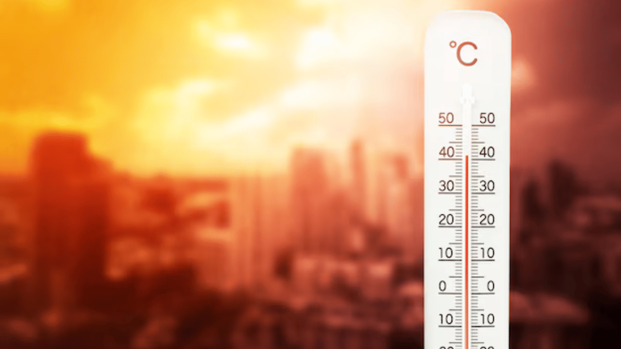Kerala Weather Update: പകൽച്ചൂട് പൊള്ളിക്കുന്നു...  രാവിലെയുള്ള തണുപ്പാണ് പ്രശ്നം, ഇനി മഴ എന്ന്?
