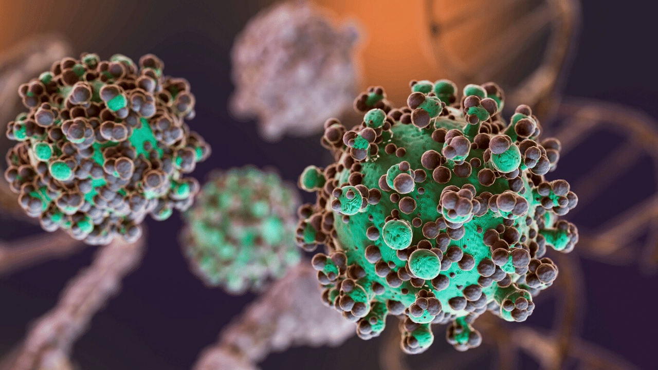 Ernakulam Viral Meningitis Case: കളമശ്ശേരിയിൽ വീണ്ടും സെറിബ്രല്‍ മെനഞ്ചൈറ്റിസ്; ഒരു കുട്ടിക്ക് കൂടി രോഗം സ്ഥിരീകരിച്ചു