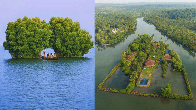 Munroe Island: വൺ ഡേ ട്രിപ്പാണോ ലക്ഷ്യം? മൺറോ തുരുത്തും കായൽ കാഴ്ച്ചകളും