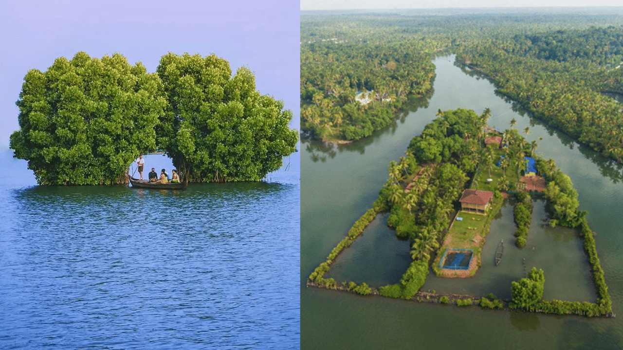 Munroe Island: വൺ ഡേ ട്രിപ്പാണോ ലക്ഷ്യം? മൺറോ തുരുത്തും കായൽ കാഴ്ച്ചകളും Munroe Island: വൺ ഡേ ട്രിപ്പാണോ ലക്ഷ്യം? മൺറോ തുരുത്തും കായൽ കാഴ്ച്ചകളും