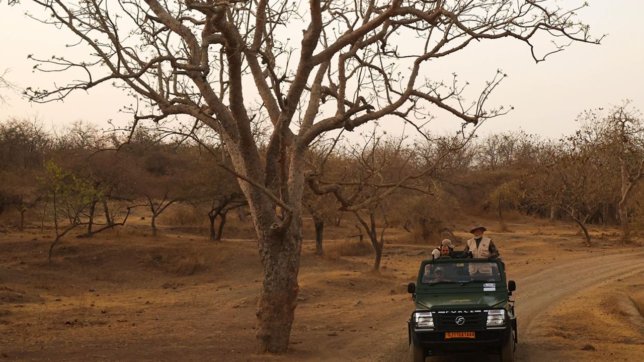 Narendra Modi visits Gir