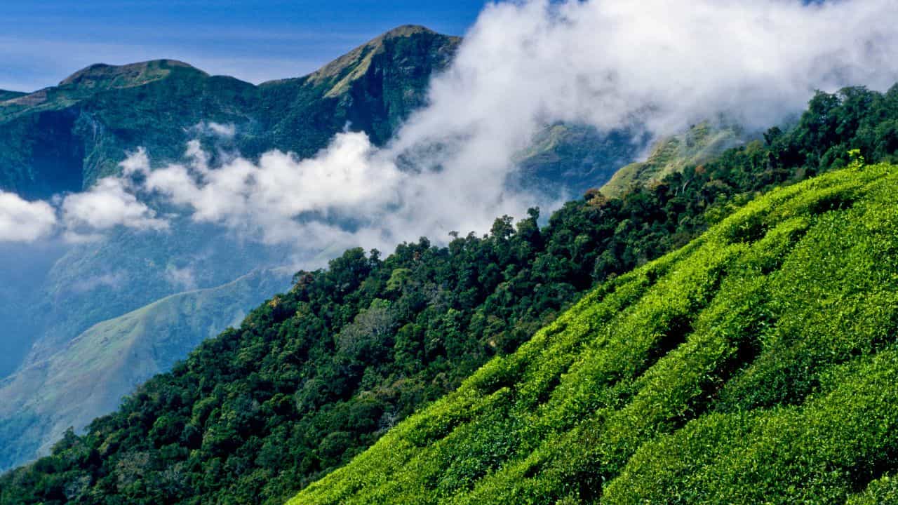 Ooty Kodaikanal Restrictions : വേനലവധിക്ക് ഊട്ടി-കൊടൈക്കനാൽ ട്രിപ്പിന് പ്ലാൻ ഉണ്ടോ? എന്നാൽ ഈ നിയന്ത്രണങ്ങൾ അറിഞ്ഞിരിക്കണം