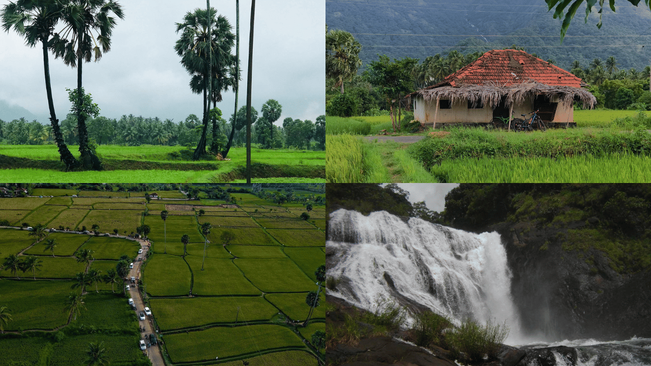 Palakkad Hidden Spot: പ്രകൃതി സ്നേഹികളുടെ പറുദീസ; കണ്ടിരിക്കണം പാലക്കാട്ടെ ഈ സ്ഥലങ്ങൾ