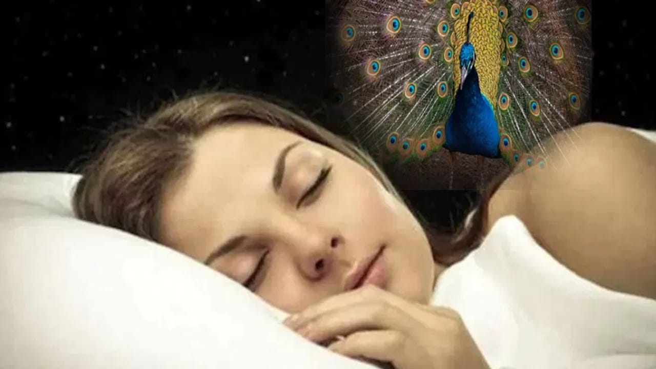 ഉറങ്ങുമ്പോൾ സ്വപ്നം കാണുന്നത് സാധാരണമാണ്. ഗാഢനിദ്രയിൽ ആളുകൾക്ക് വ്യത്യസ്ത  സ്വപ്നങ്ങൾ കണ്ടേക്കാം.  സ്വപ്നങ്ങളുടെ ശാസ്ത്രമനുസരിച്ച്, ഓരോ സ്വപ്നത്തിനും അർത്ഥമുണ്ട് അത് പരിശോധിക്കാം