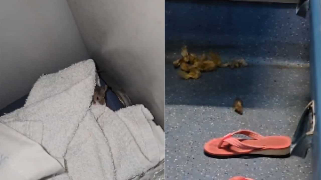 Viral News: 3000 കൊടുത്ത് എസി കോച്ചില് യാത്ര; സഹയാത്രികരെ കണ്ട് ഞെട്ടി യുവാവ് Viral News: 3000 കൊടുത്ത് എസി കോച്ചില് യാത്ര; സഹയാത്രികരെ കണ്ട് ഞെട്ടി യുവാവ്