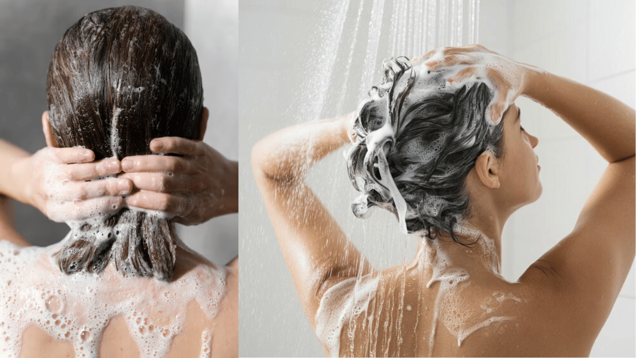 Shampooing Hair: ദിവസവും ഷാംപൂ ചെയ്യണോ അതോ ആഴ്ചയിൽ ഒരിക്കൽ ചെയ്യണോ: ഏതാണ് നല്ലത്? Shampooing Hair: ദിവസവും ഷാംപൂ ചെയ്യണോ അതോ ആഴ്ചയിൽ ഒരിക്കൽ ചെയ്യണോ: ഏതാണ് നല്ലത്?