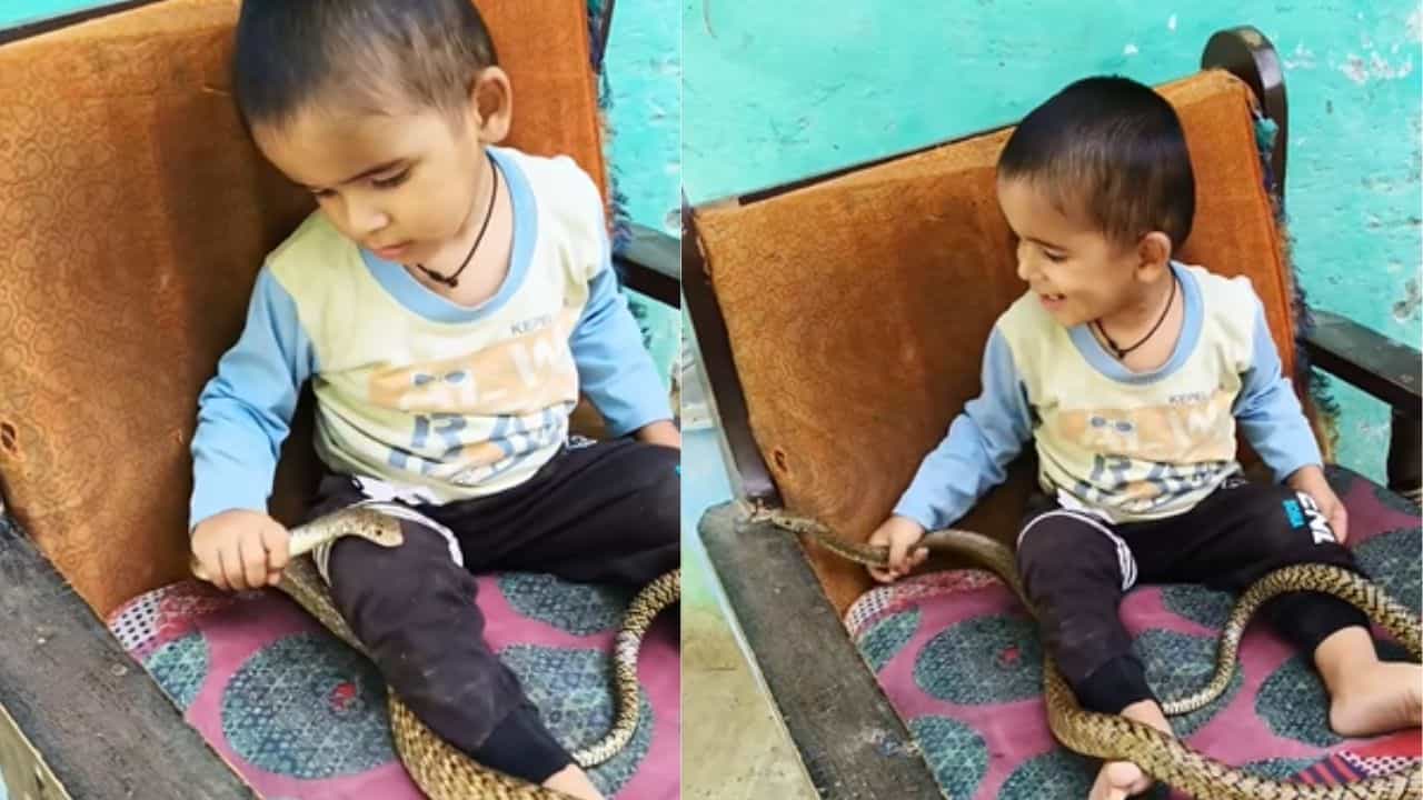 Viral Video : ഇത് കുട്ടികളിയോ? കുട്ടി കളിക്കുന്നത് എന്തിൻ്റെ ഒപ്പമെന്ന് കണ്ടോ?