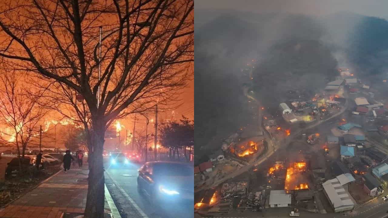 South Korea Wildfires: ദക്ഷിണ കൊറിയയില്‍ ഉണ്ടായ തീപിടുത്തതില്‍ 24 മരണം, 27000 പേരെ മാറ്റിപ്പാര്‍പ്പിച്ചു