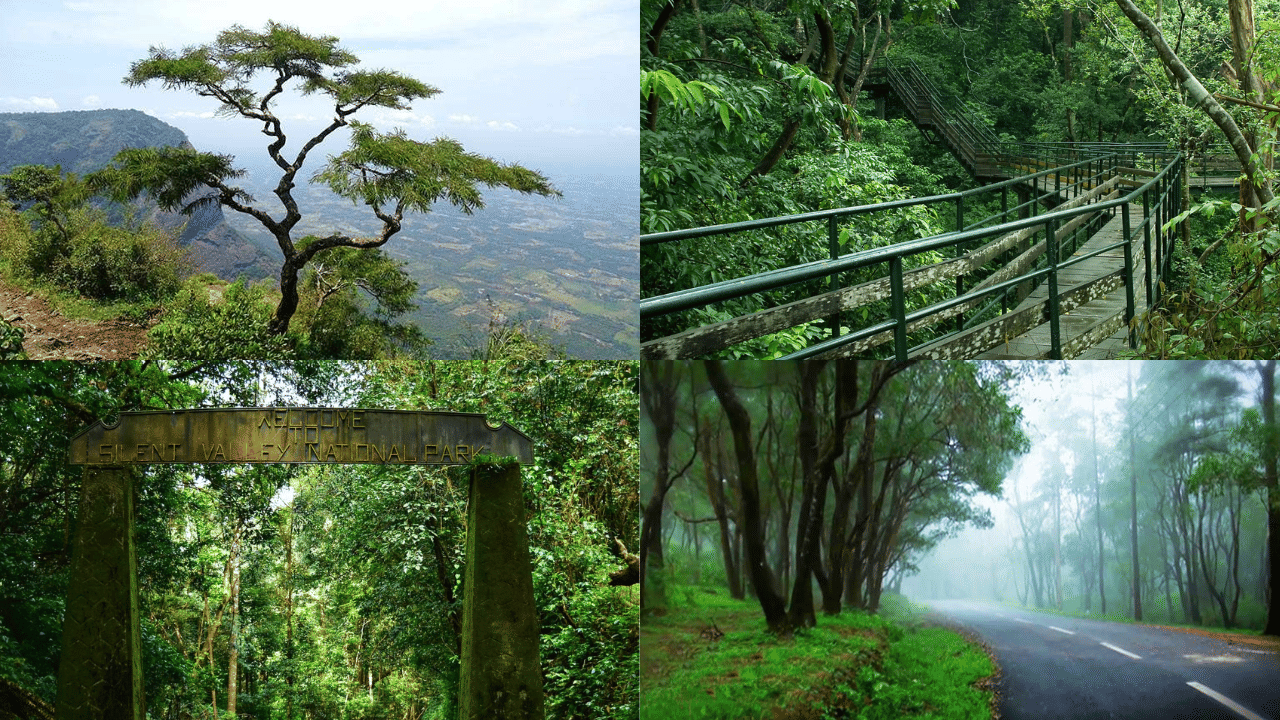 Offbeat Tourist Place: ഞെട്ടിക്കുന്ന കാഴ്ചകൾ; അധികമാരും എത്താത്ത ഈ ടൂറിസ്റ്റ് കേന്ദ്രങ്ങളെക്കുറിച്ചറിയാം Offbeat Tourist Place: ഞെട്ടിക്കുന്ന കാഴ്ചകൾ; അധികമാരും എത്താത്ത ഈ ടൂറിസ്റ്റ് കേന്ദ്രങ്ങളെക്കുറിച്ചറിയാം