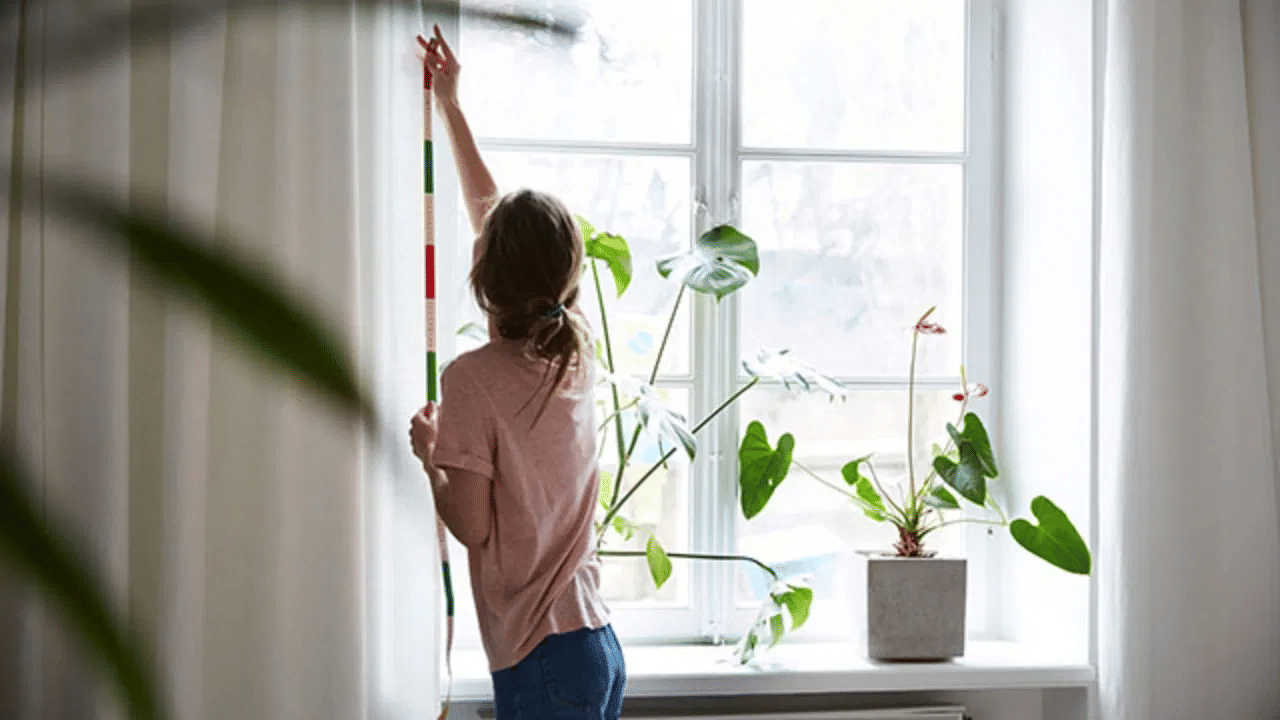 Heat Reducing Tips: വീടിനുള്ളിലെ ചൂട് അകറ്റാം, ഈ പൊടിക്കൈകൾ പ്രയോഗിക്കൂ... Heat Reducing Tips: വീടിനുള്ളിലെ ചൂട് അകറ്റാം, ഈ പൊടിക്കൈകൾ പ്രയോഗിക്കൂ...