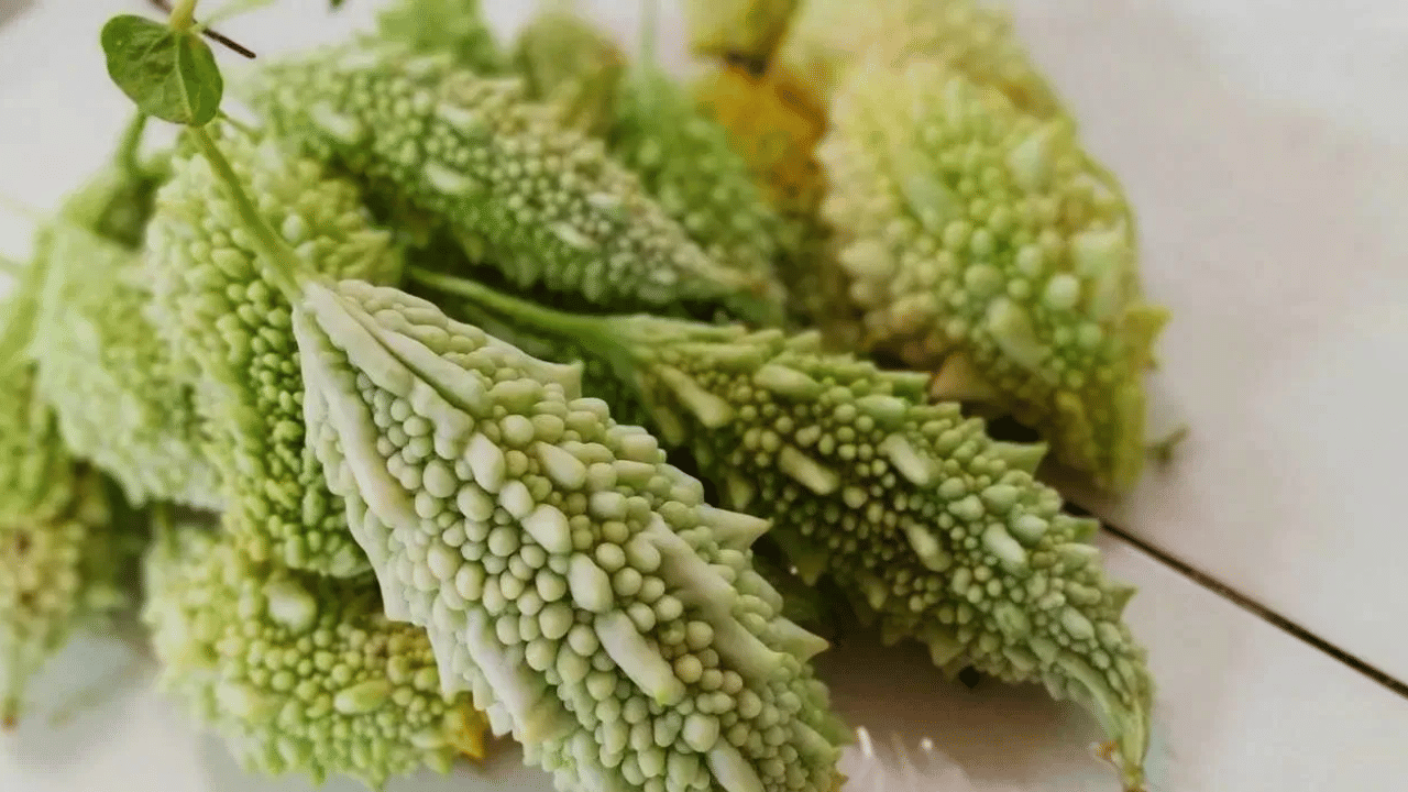 ഇൻസുലിൻ പോലുള്ള പ്രോട്ടീൻ പാവയ്ക്കയിൽ അടങ്ങിയിട്ടുണ്ട്. ഇവ രക്തത്തിലെ പഞ്ചസാരയുടെ അളവ് കുറയ്ക്കുന്നു.