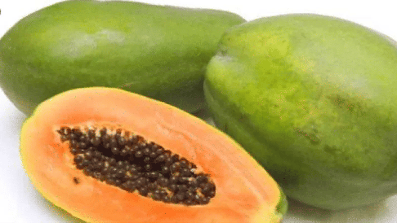 ദഹന ആരോഗ്യം മെച്ചപ്പെടുത്താൻ പപ്പായയിൽ അടങ്ങിയിരിക്കുന്ന നാരുകൾ സഹായിക്കുന്നു. ഇവ മലബന്ധം തടയുകയും ആരോഗ്യകരമായ ദഹനനാളത്തെ പ്രോത്സാഹിപ്പിക്കുകയും ചെയ്യുന്നു.