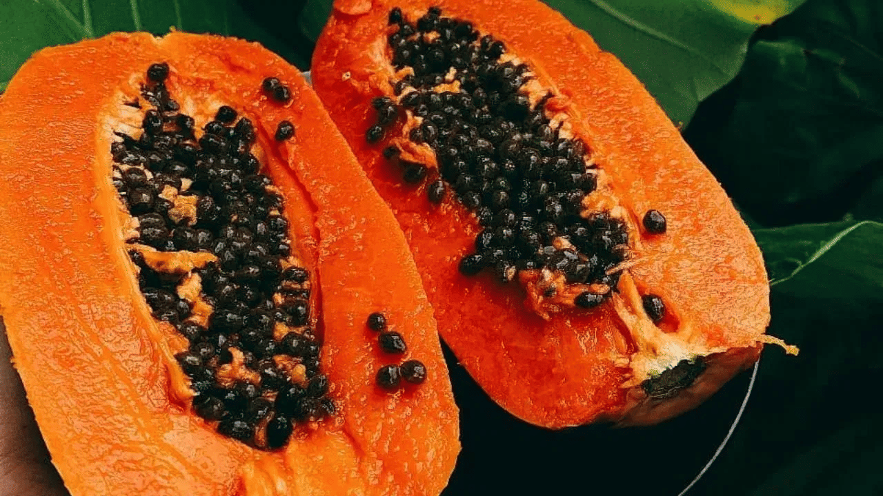 ഹൃദയാരോഗ്യത്തിനും പപ്പായ നല്ലതാണ്. പപ്പായയിൽ ആന്റിഓക്സിഡന്റുകളും ഫൈറ്റോന്യൂട്രിയന്റുകളും ധാരാളമുണ്ട്. അതിനാൽ ഇവ ഹൃദ്രോഗ സാധ്യത കുറയ്ക്കുന്നു.