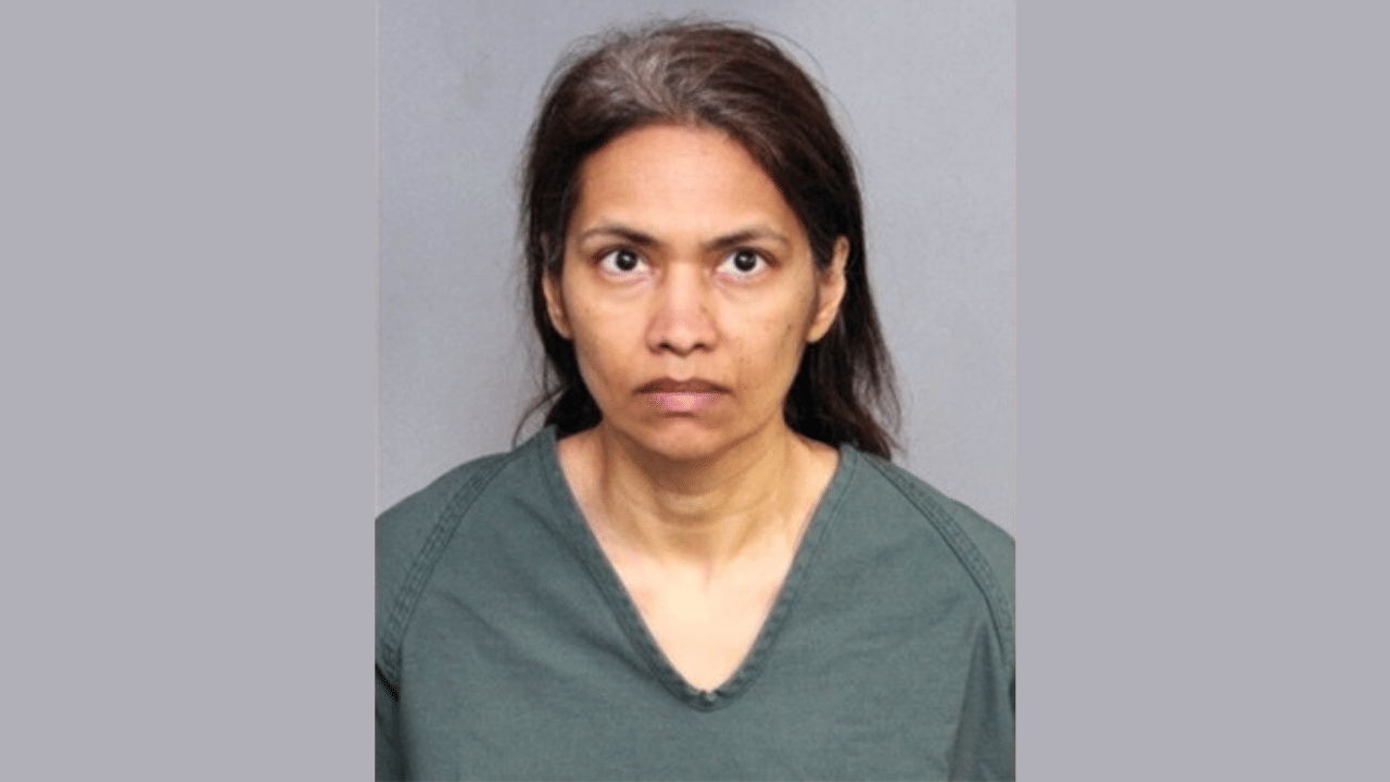 Mother Kills Son: അവധിക്കാലം ആഘോഷിക്കാൻ ഡിസ്നിലാൻഡിൽ; ഒടുവിൽ മകന്റെ കഴുത്തറുത്ത് അമ്മയുടെ ക്രൂരത, ഇന്ത്യൻ വംശജ അറസ്റ്റിൽ