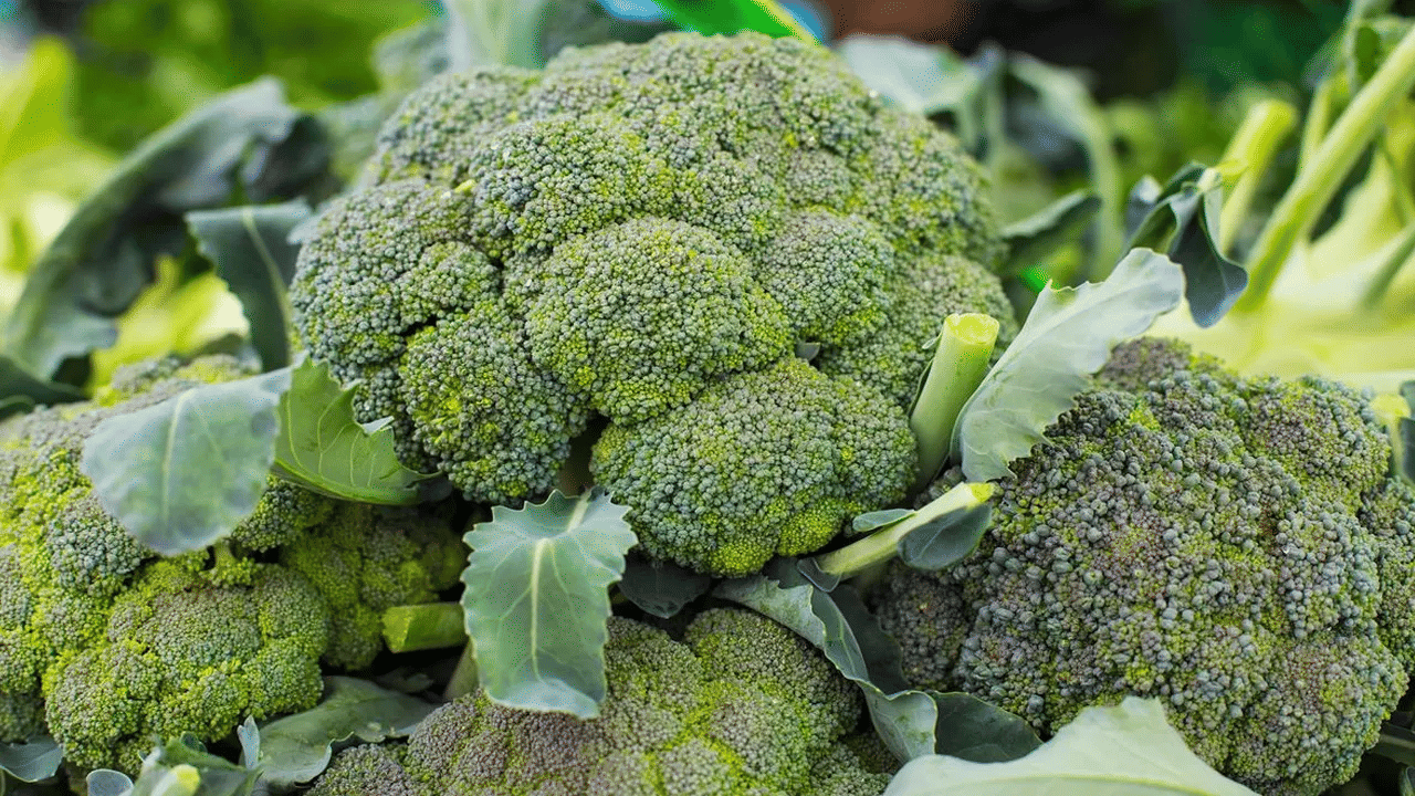 ധാരാളം ജലാംശമുള്ള പച്ചക്കറിയാണ് ബ്രൊക്കോളി. അതിനാൽ ചൂട് സമയത്ത് ഇവ കഴിക്കുന്നത് നിർജ്ജലീകരണം ഒഴിവാക്കും.