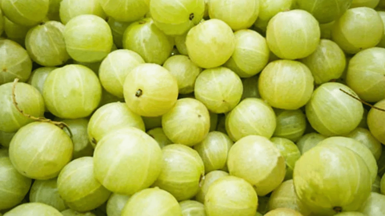 നെല്ലിക്കയിൽ ഉയർന്ന അളവിൽ നാരുകൾ അടങ്ങിയിരിക്കുന്നു. ഇവ ദഹന പ്രക്രിയ സുഗമമാക്കുന്നു.