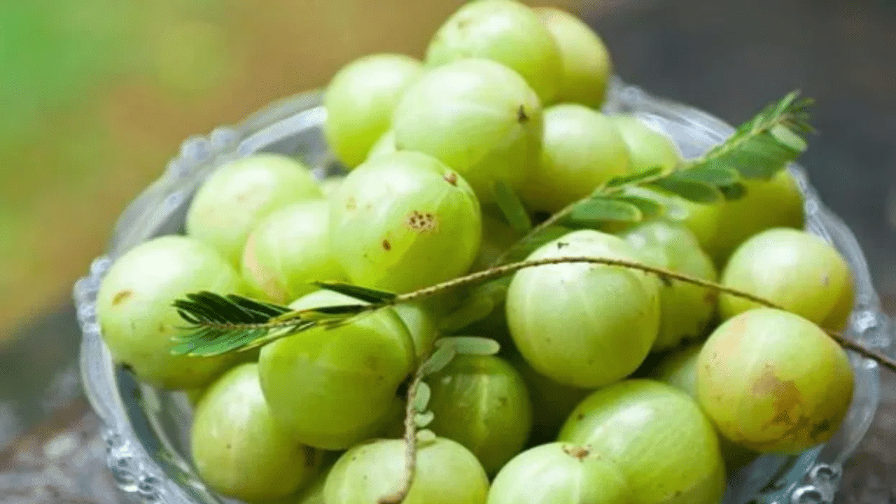 നെല്ലിക്ക പതിവായി കഴിക്കുന്നത് ശരീരത്തിലെ ചീത്ത കൊളസ്ട്രോളിനെ ഇല്ലാതാക്കുകയും നല്ല കൊളസ്ട്രോൾ വർധിപ്പിക്കുകയും ചെയ്യുന്നു.