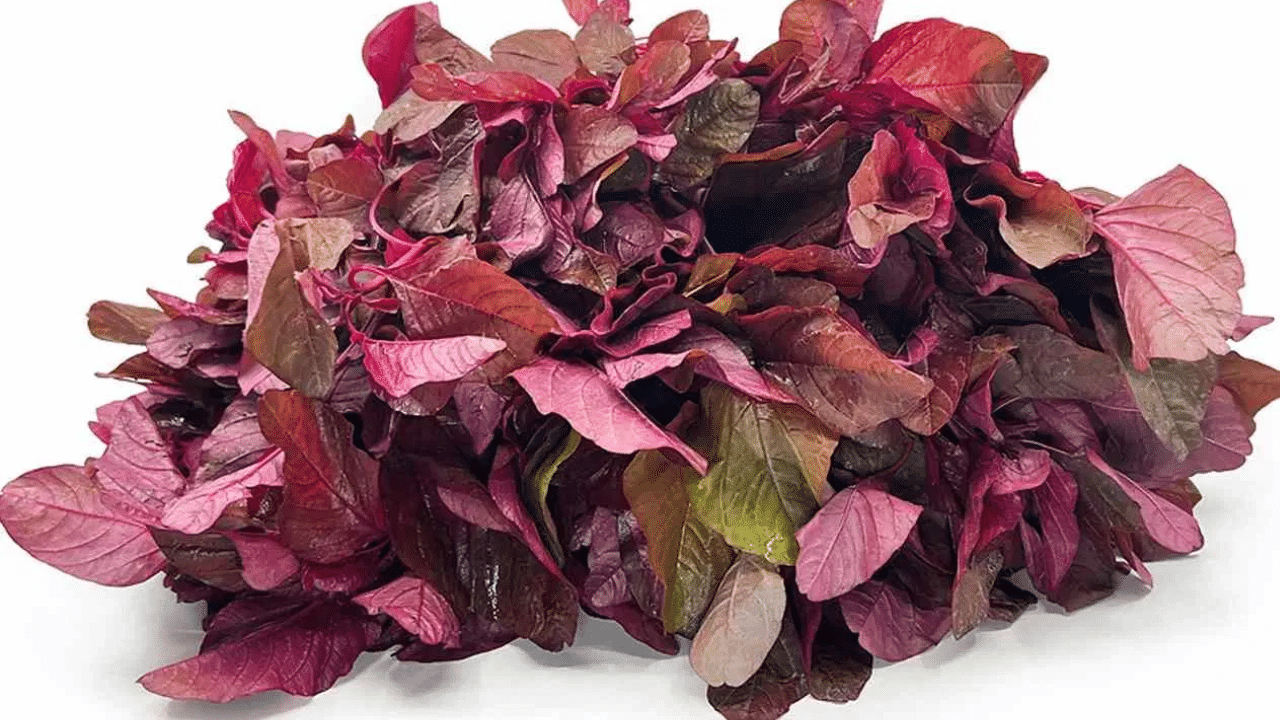 ചുവന്ന ചീരയിൽ വിറ്റാമിൻ കെ, കാൽസ്യം എന്നിവയുണ്ട്. ഇവ എല്ലുകളെ ബലമുള്ളതാക്കുന്നു.