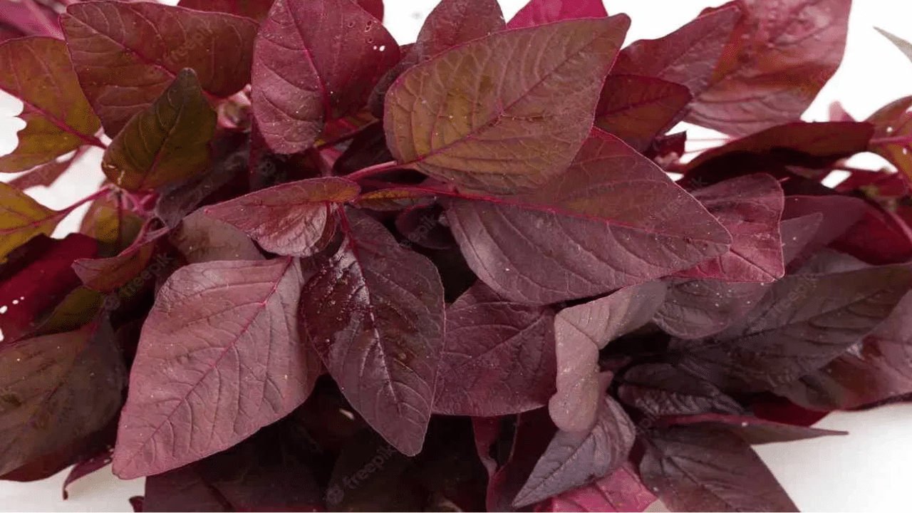 ചുവന്ന ചീരയിൽ ധാരാളം ഫൈബർ അടങ്ങിയിരിക്കുന്നു. ഇത് മലബന്ധത്തെ തടയുകയും ദഹനത്തെ മെച്ചപ്പെടുത്തുകയും ചെയ്യുന്നു.