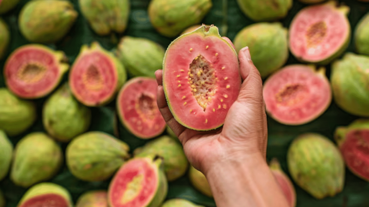 പേരയ്ക്കയിൽ അടങ്ങിയിട്ടുള്ള വിവിധ പോഷകങ്ങൾ രോ​ഗ പ്രതിരോധ ശേഷി വർധിപ്പിക്കാൻ സഹായിക്കുന്നു.