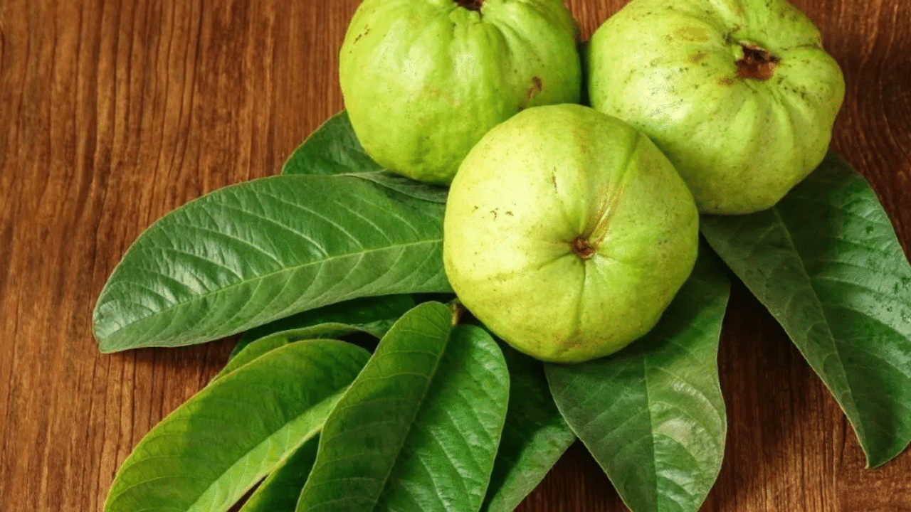 പേരയ്ക്കയിൽ അടങ്ങിയിട്ടുള്ള പൊട്ടാസ്യവും നാരുകളും ഹൃദയത്തിന്റെ ആരോ​ഗ്യത്തിന് ​ഗുണകരമാണ്.